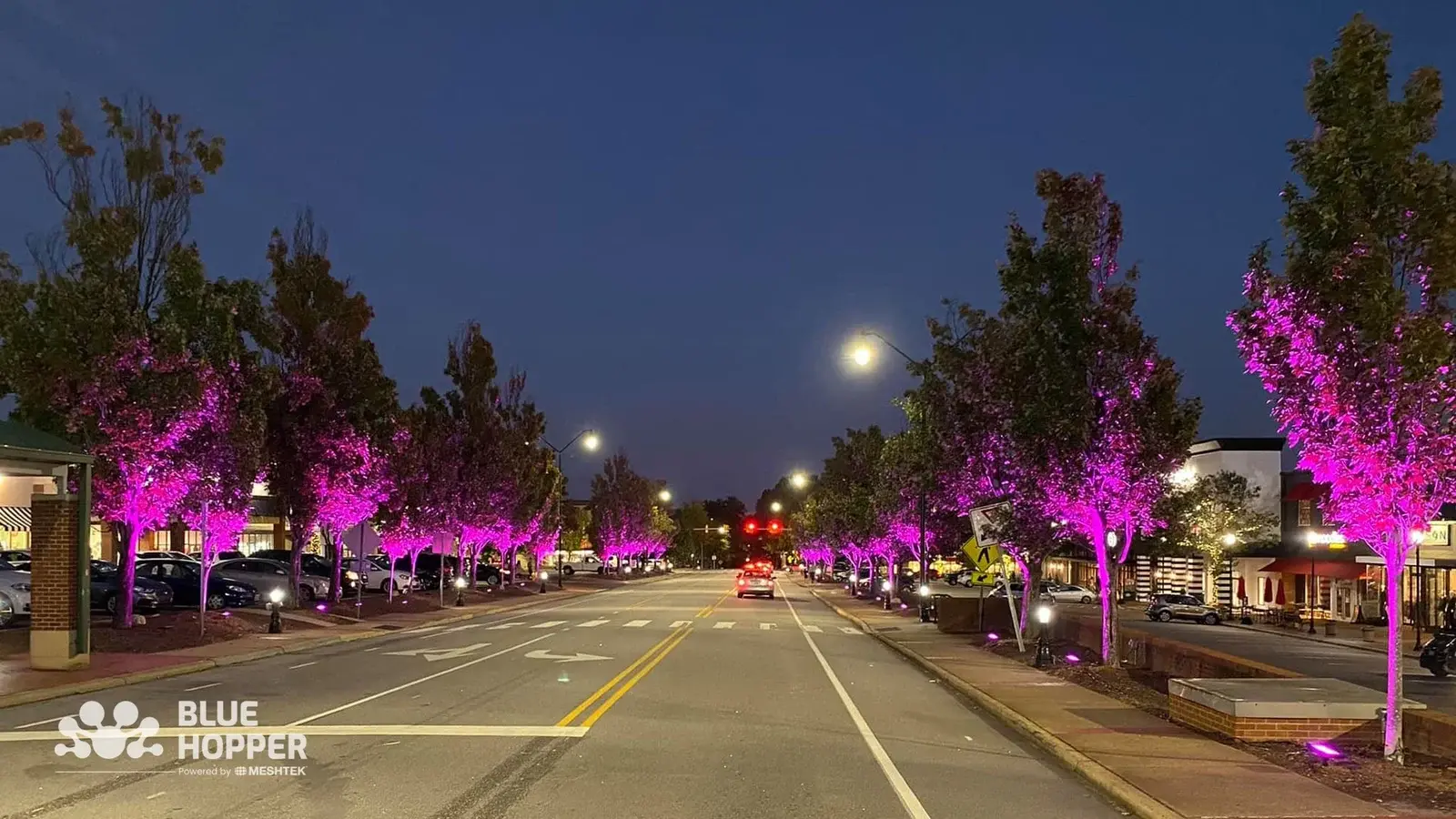 BlueHopper Highways and Roads Performance Lighting