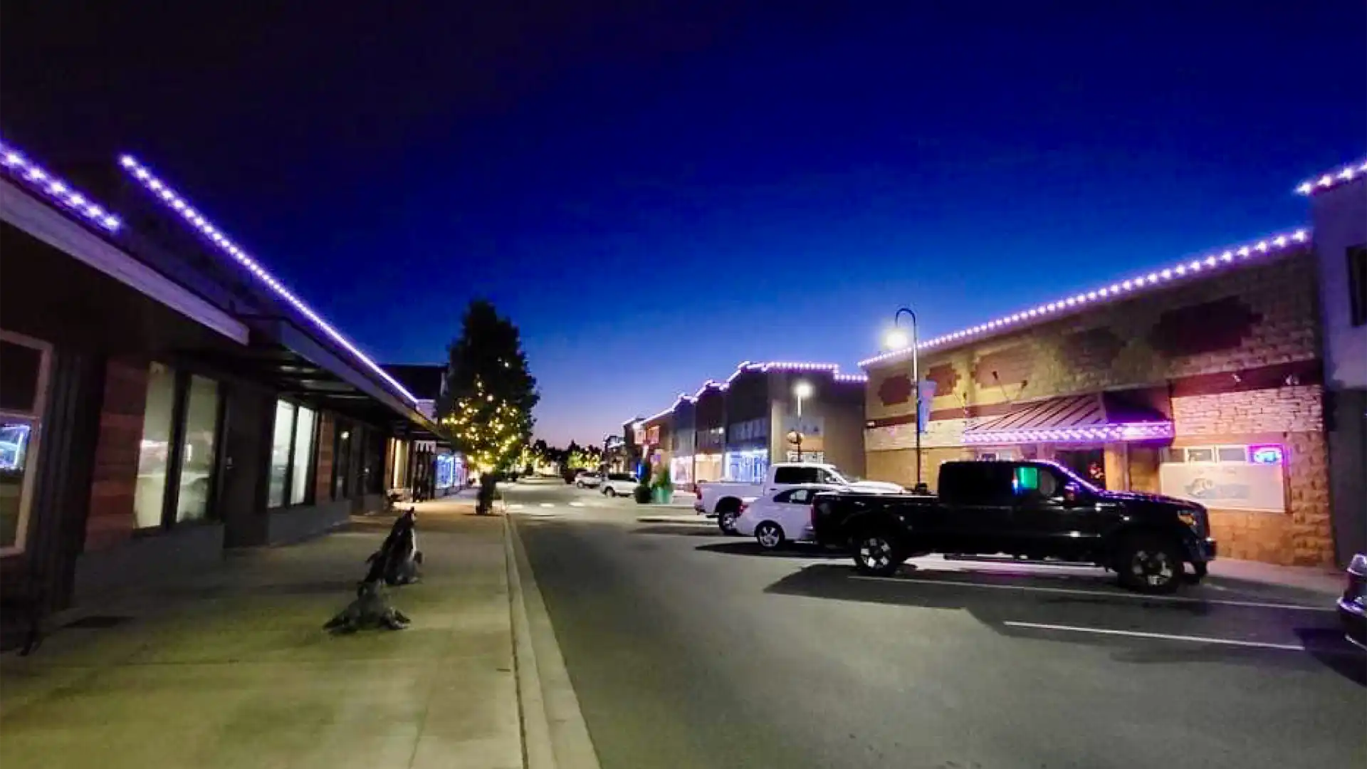 BlueHopper Smart City Integration Centralized Lighting Systems
