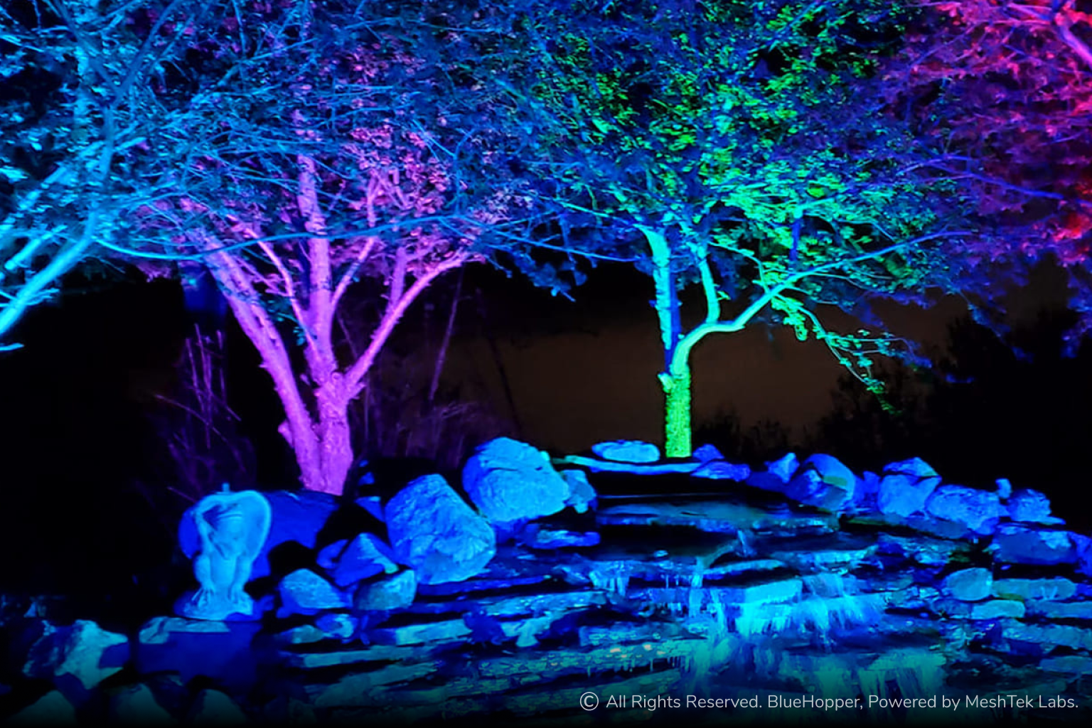  Signature Lighting <span class="gradient">Showcase</span> - BlueHopper Lighting