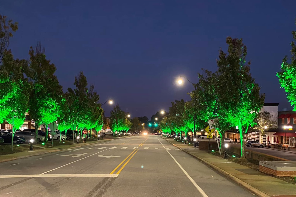 Elegant Residential Outdoor Color Changing Landscape Lighting
